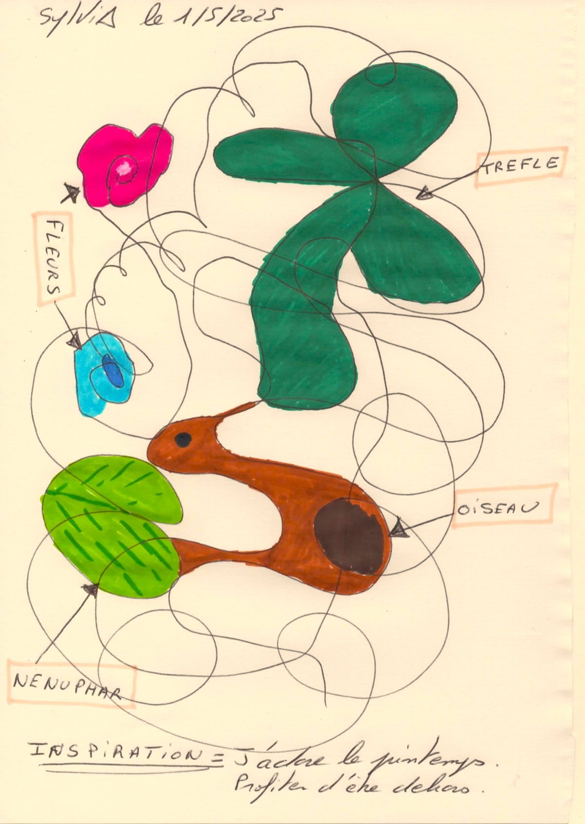 Ce que je vois dans mon griboullis. 