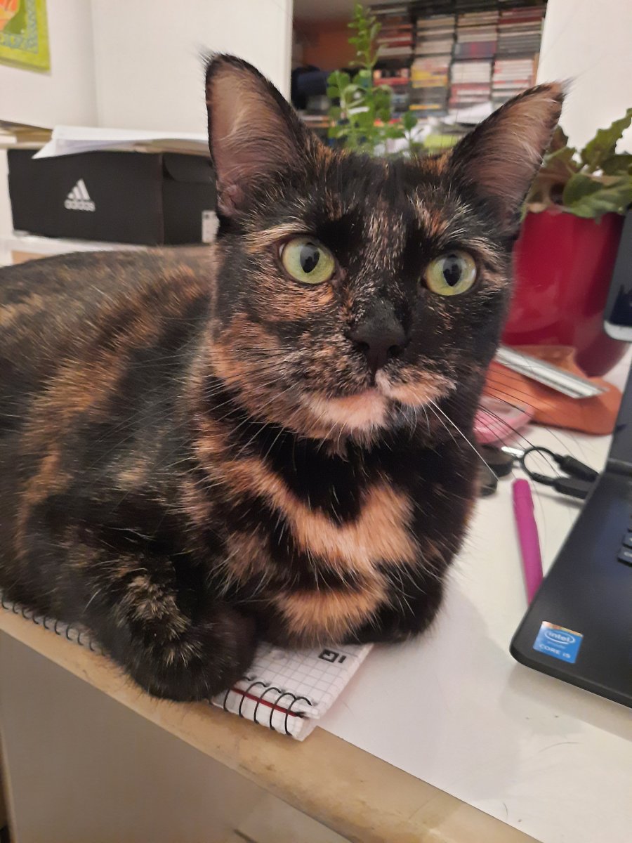 bon la tu l'as vois mieux